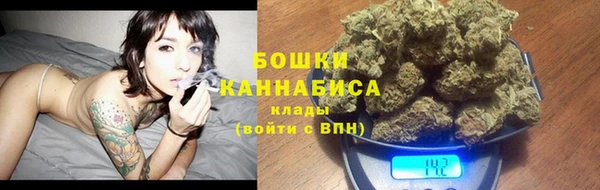 spice Новозыбков