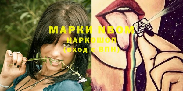 spice Новозыбков