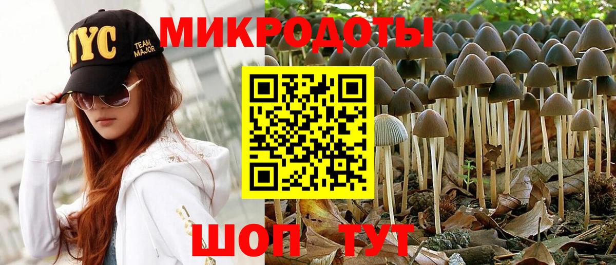 Псилоцибиновые грибы мицелий Нижнеудинск