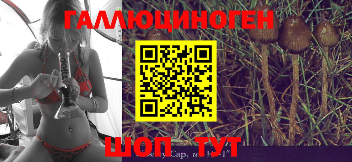Псилоцибиновые грибы ЛСД  купить наркотик  Нижнеудинск 