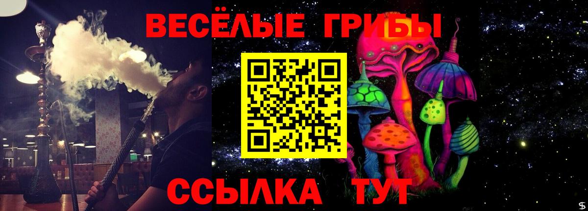 Галлюциногенные грибы Psilocybine cubensis  Вход с VPN  Нижнеудинск  Псилоцибиновые грибы GOLDEN TEACHER 