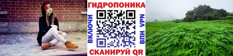 Конопля THC 21%  blacksprut как войти  Нижнеудинск 